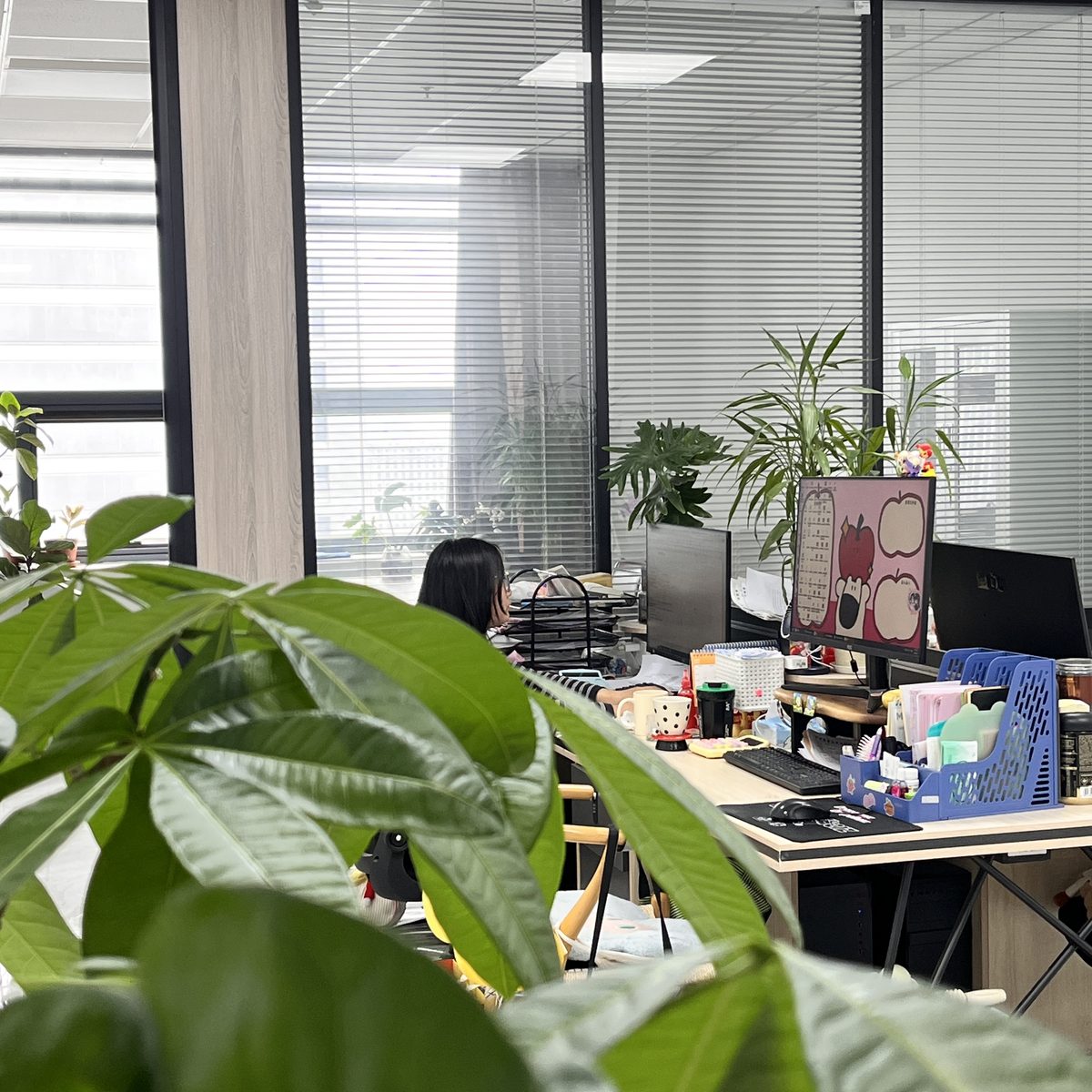Longsday Office